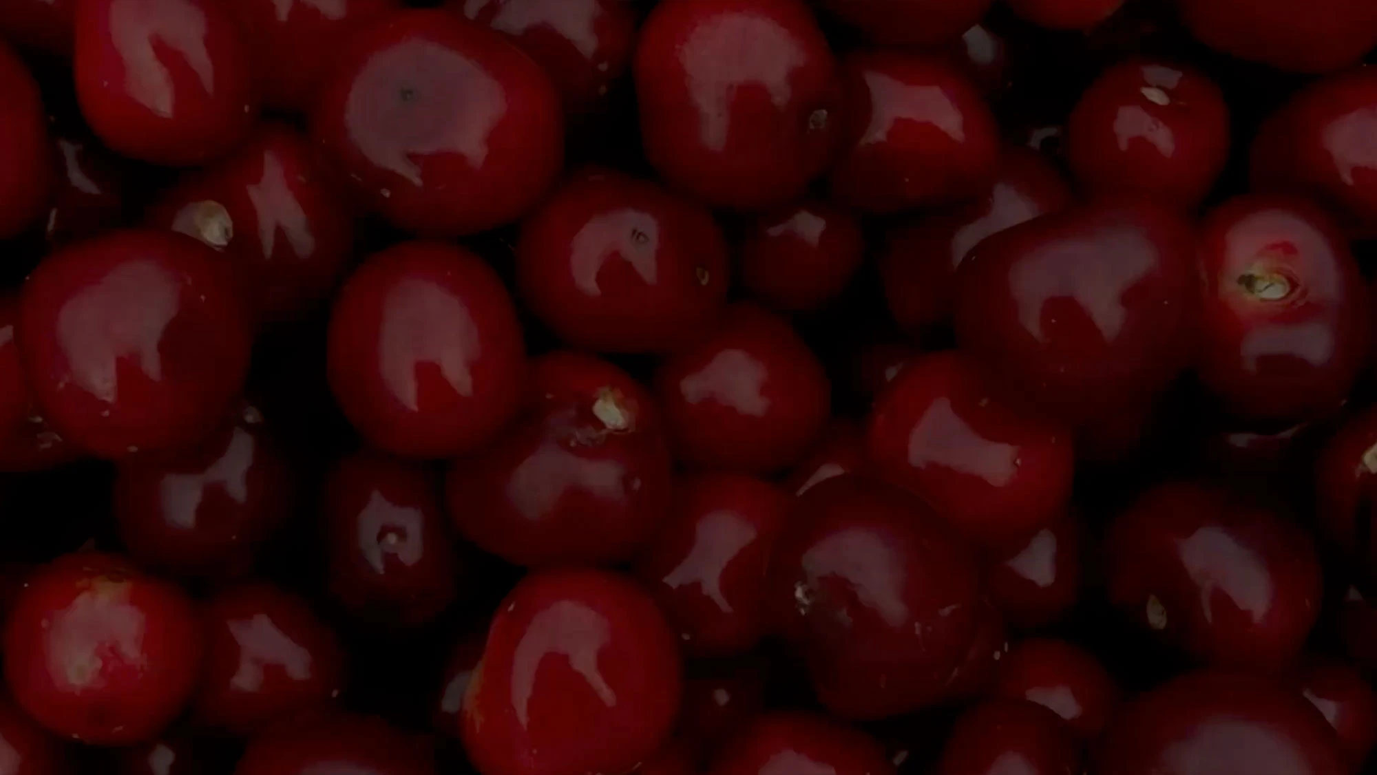 28 BLACK | Silent Energy